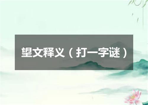 望文释义（打一字谜）