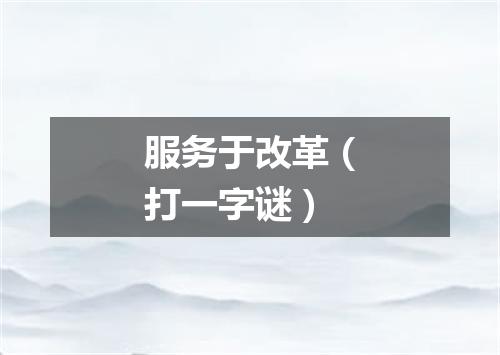 服务于改革（打一字谜）