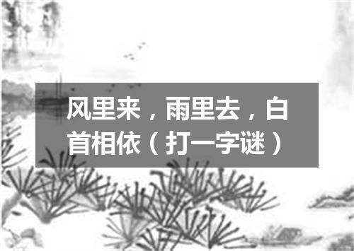 风里来，雨里去，白首相依（打一字谜）