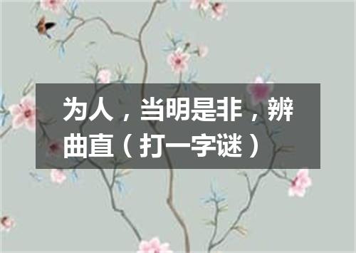 为人，当明是非，辨曲直（打一字谜）