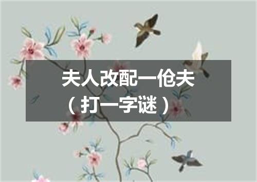 夫人改配一伧夫（打一字谜）