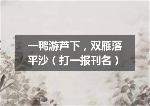 一鸭游芦下，双雁落平沙（打一报刊名）