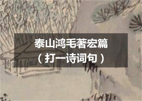 泰山鸿毛著宏篇（打一诗词句）