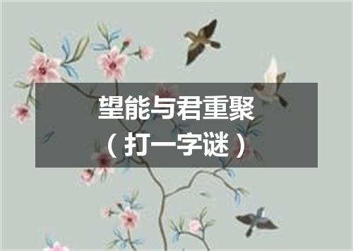 望能与君重聚（打一字谜）