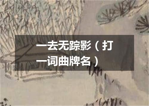一去无踪影（打一词曲牌名）