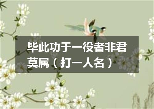 毕此功于一役者非君莫属（打一人名）
