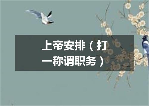 上帝安排（打一称谓职务）