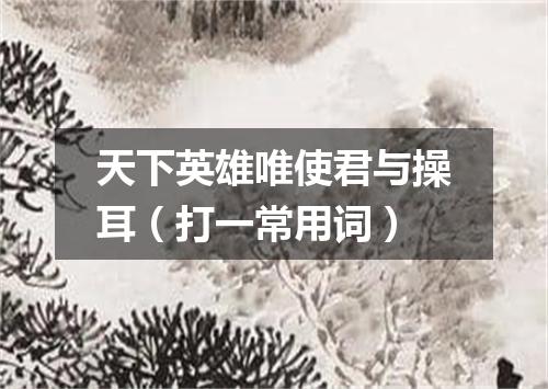 天下英雄唯使君与操耳（打一常用词）