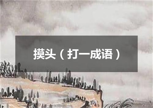 摸头（打一成语）