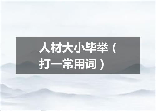 人材大小毕举（打一常用词）
