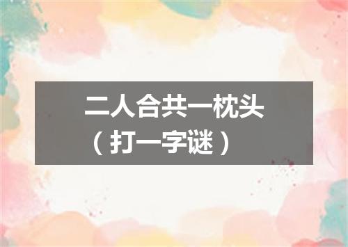 二人合共一枕头（打一字谜）