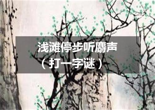 浅滩停步听麝声（打一字谜）