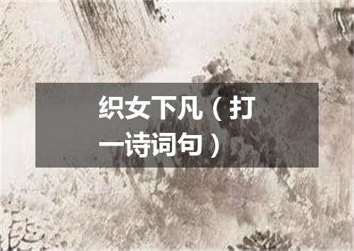 织女下凡（打一诗词句）