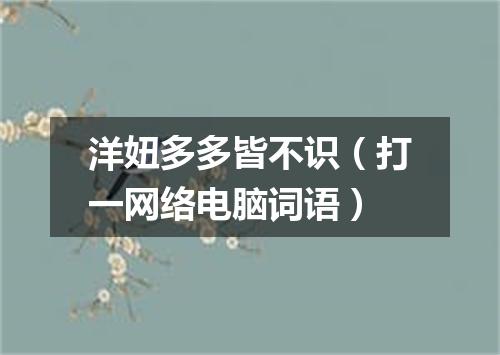 洋妞多多皆不识（打一网络电脑词语）