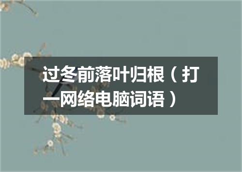 过冬前落叶归根（打一网络电脑词语）