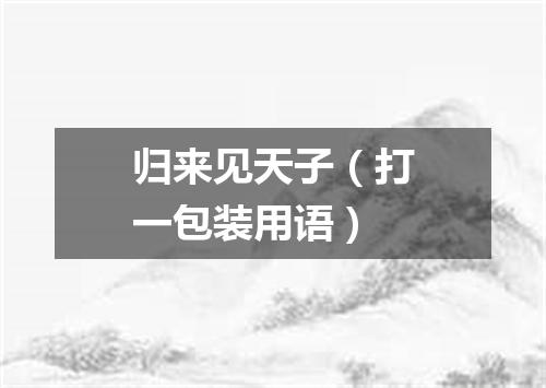 归来见天子（打一包装用语）