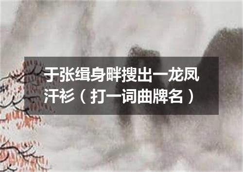 于张缉身畔搜出一龙凤汗衫（打一词曲牌名）