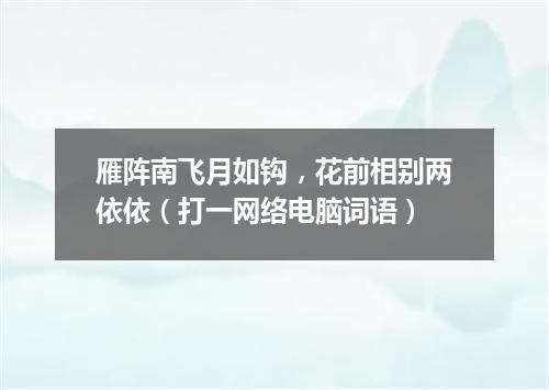 雁阵南飞月如钩，花前相别两依依（打一网络电脑词语）