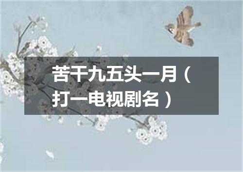 苦干九五头一月（打一电视剧名）