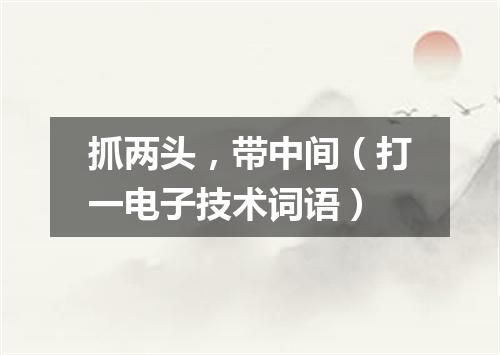 抓两头，带中间（打一电子技术词语）