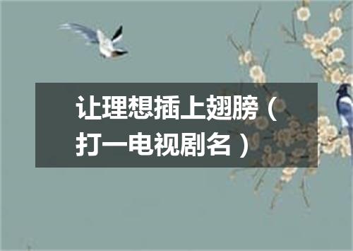 让理想插上翅膀（打一电视剧名）