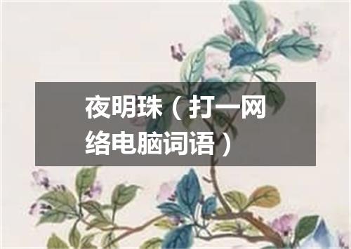 夜明珠（打一网络电脑词语）