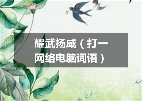 耀武扬威（打一网络电脑词语）