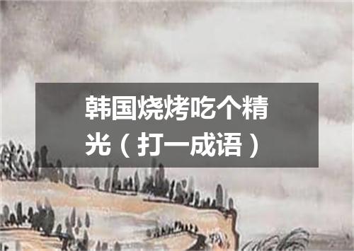 韩国烧烤吃个精光（打一成语）