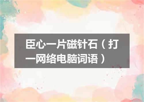 臣心一片磁针石（打一网络电脑词语）