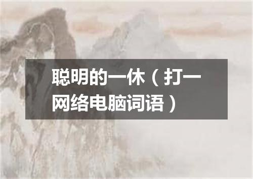 聪明的一休（打一网络电脑词语）