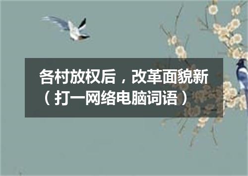 各村放权后，改革面貌新（打一网络电脑词语）