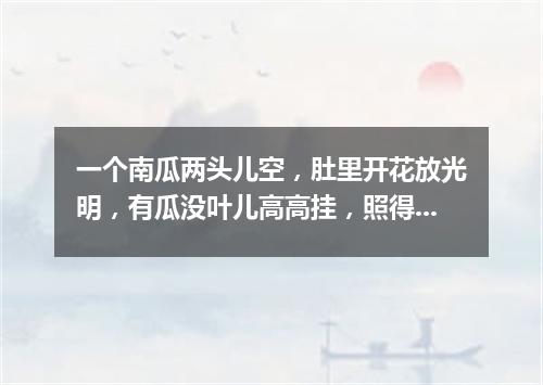 一个南瓜两头儿空，肚里开花放光明，有瓜没叶儿高高挂，照得面前一片红。（打一物）
