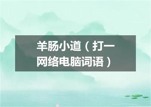 羊肠小道（打一网络电脑词语）