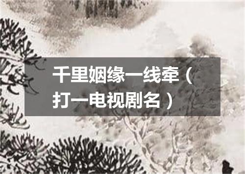 千里姻缘一线牵（打一电视剧名）