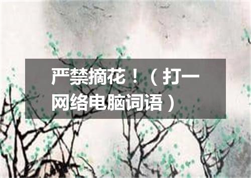 严禁摘花！（打一网络电脑词语）