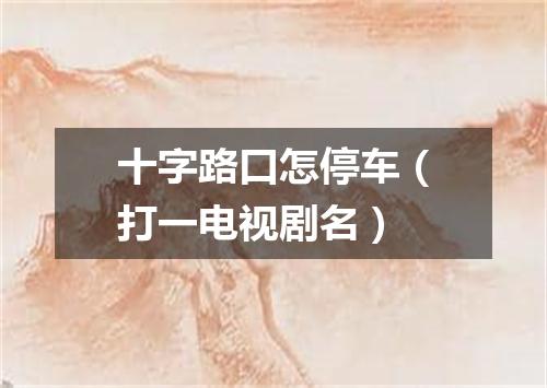 十字路口怎停车（打一电视剧名）