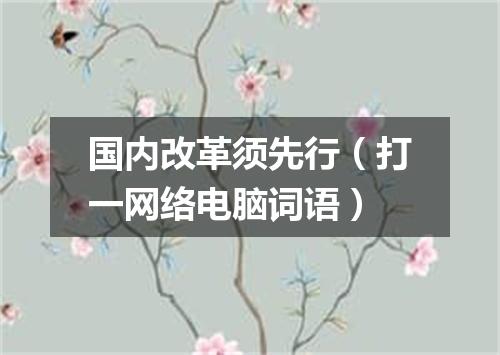 国内改革须先行（打一网络电脑词语）