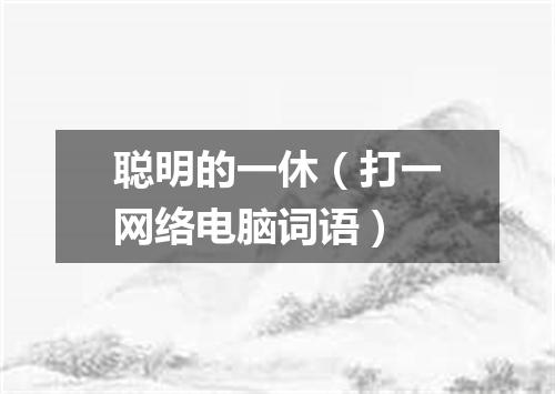 聪明的一休（打一网络电脑词语）