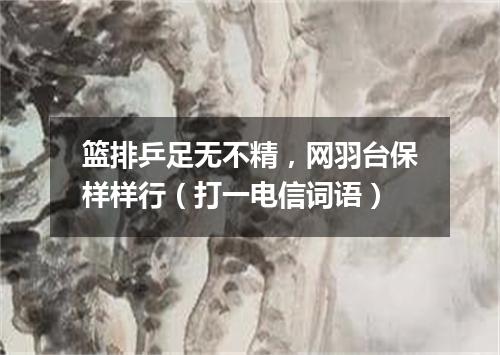 篮排乒足无不精，网羽台保样样行（打一电信词语）