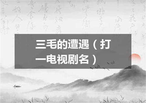 三毛的遭遇（打一电视剧名）
