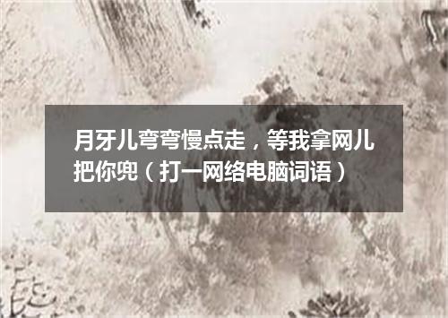 月牙儿弯弯慢点走，等我拿网儿把你兜（打一网络电脑词语）