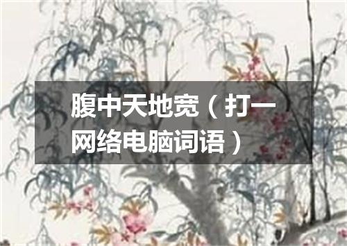 腹中天地宽（打一网络电脑词语）