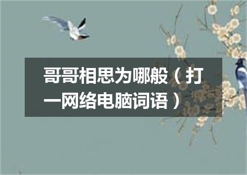 哥哥相思为哪般（打一网络电脑词语）