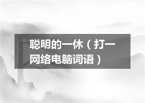 聪明的一休（打一网络电脑词语）