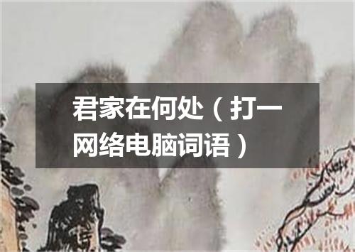 君家在何处（打一网络电脑词语）