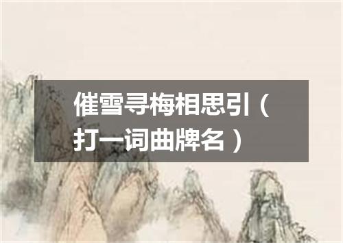催雪寻梅相思引（打一词曲牌名）