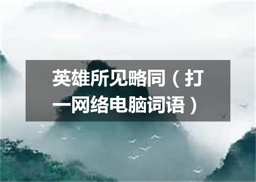 英雄所见略同（打一网络电脑词语）