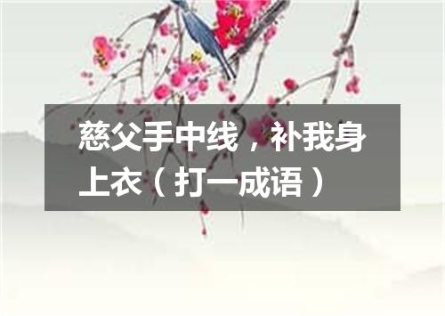慈父手中线，补我身上衣（打一成语）