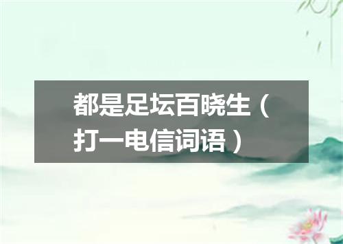 都是足坛百晓生（打一电信词语）