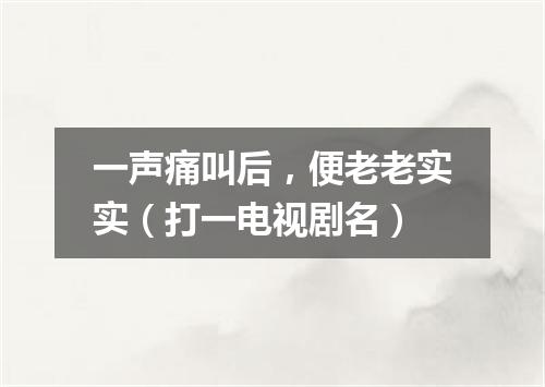 一声痛叫后，便老老实实（打一电视剧名）
